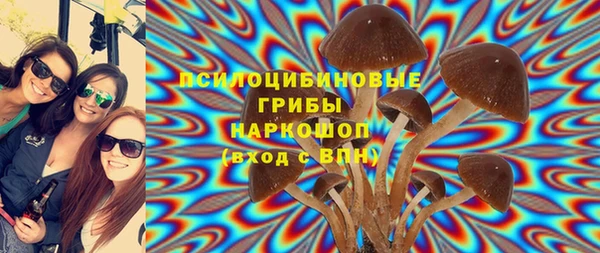 крисы Богородск