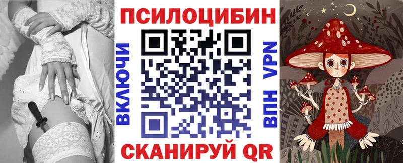 blacksprut ТОР  Ставрополь  Галлюциногенные грибы мицелий  купить  цена 
